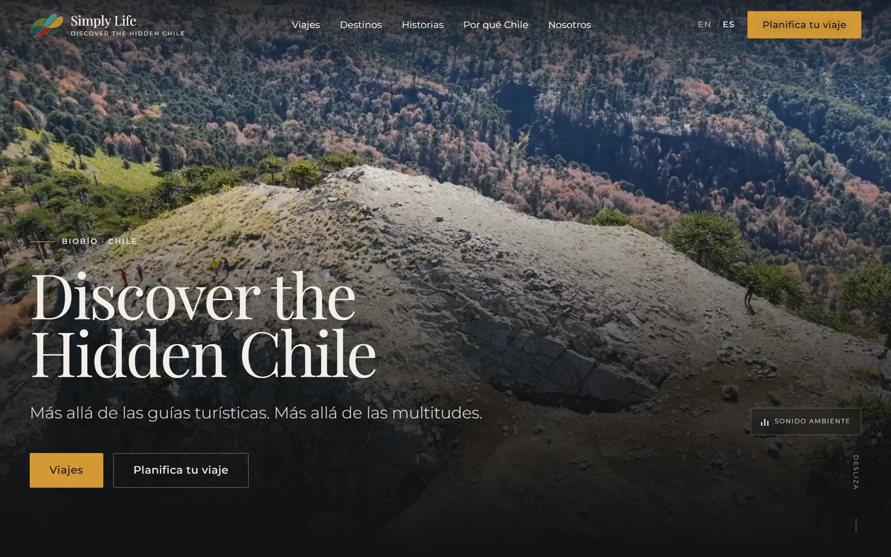 Sitio de Simply Life Chile